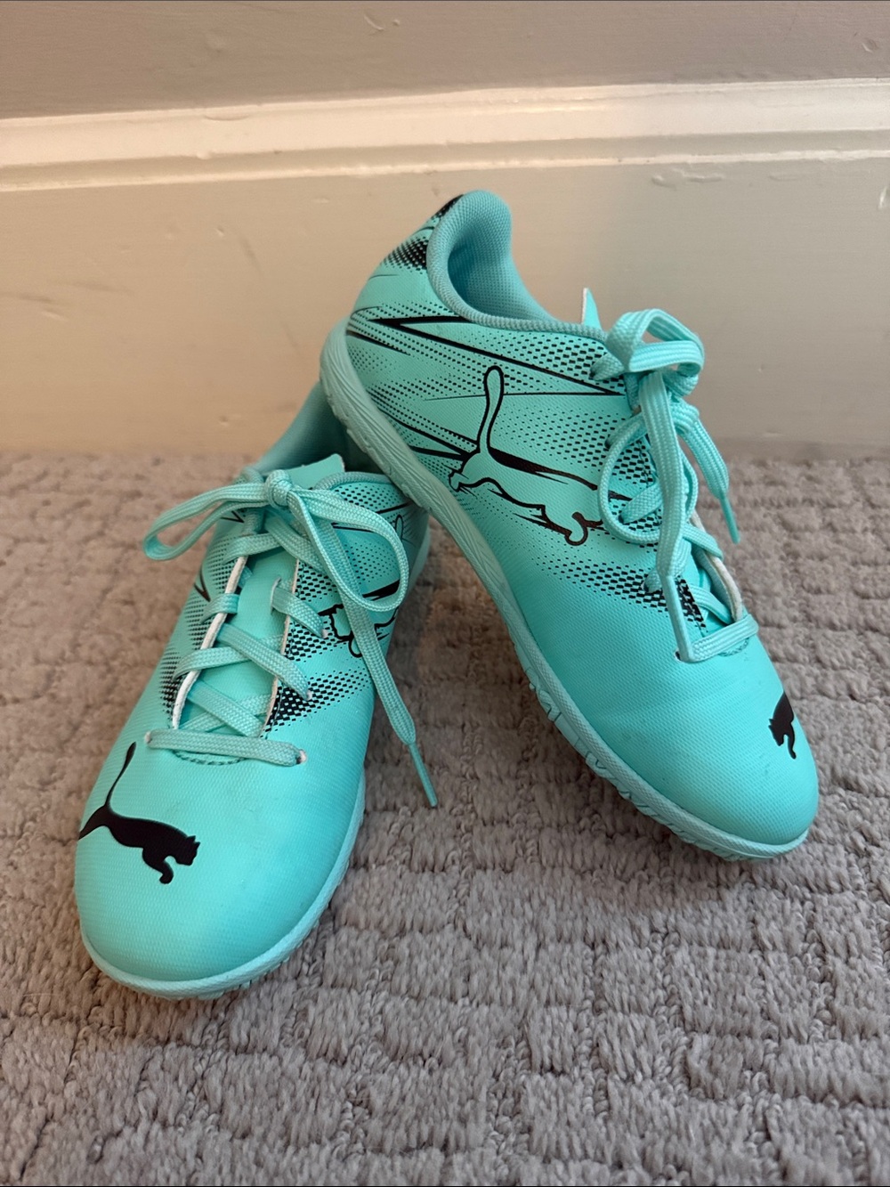 Puma Aqua Indoor Soccer Shoes